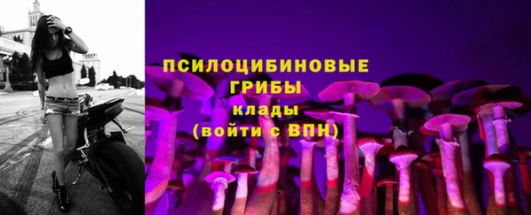 соль курить ск Абаза