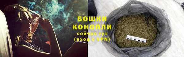 каннабис Новодвинск