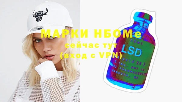 соль ск Новозыбков