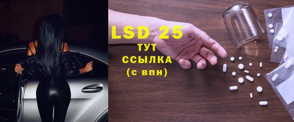 соль ск Новозыбков