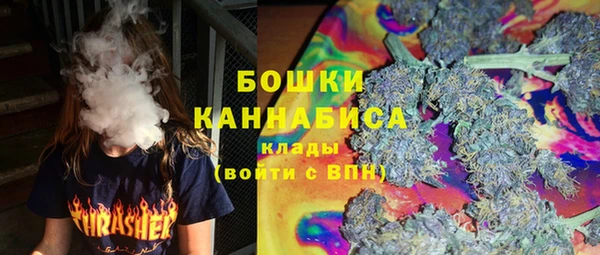 соль ск Новозыбков