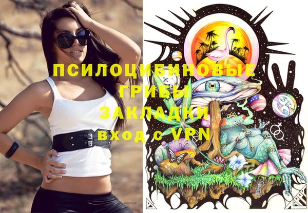 соль ск Новозыбков